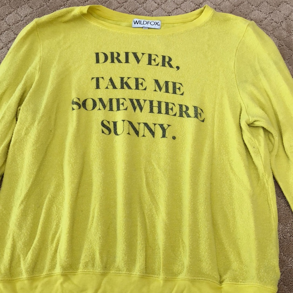Wildfox sweatshirt